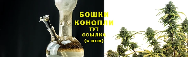 винт Белокуриха