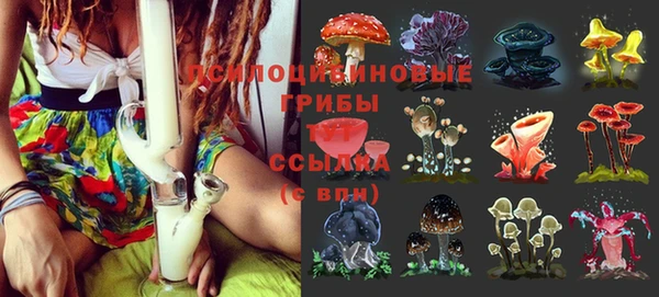 винт Белокуриха