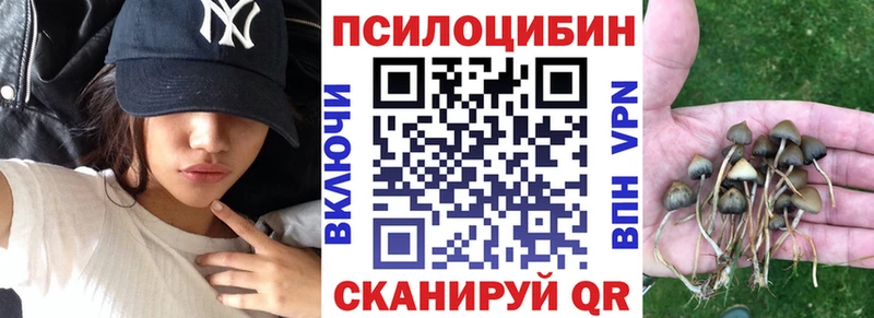 магазин  наркотиков  Елабуга  Псилоцибиновые грибы мицелий 